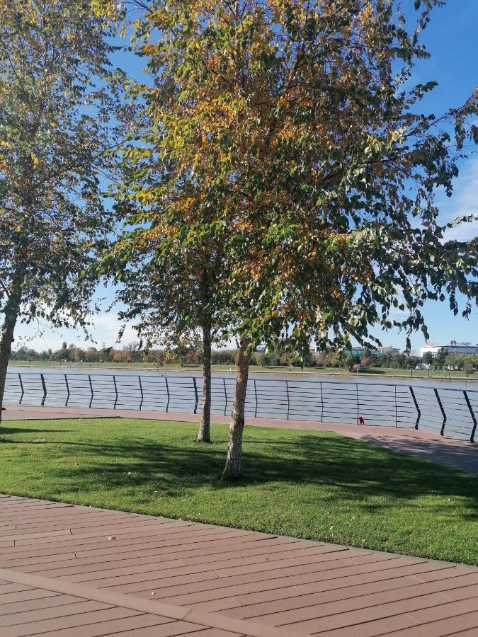 SajmisteBelgrade Waterfront Cozy Symphony 1公寓 外观 照片